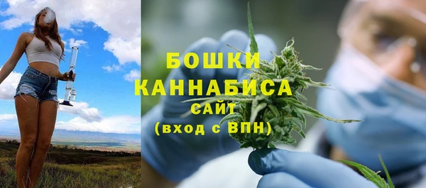 меф Ельня