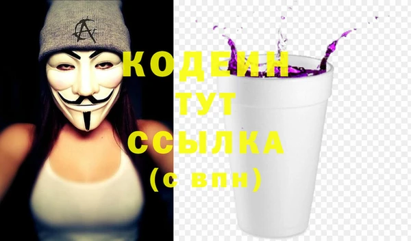 меф Ельня