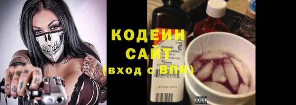 меф Ельня
