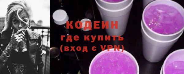 меф Ельня