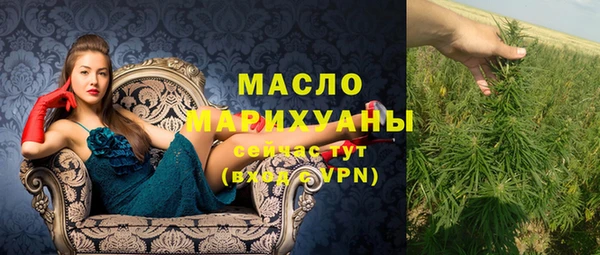 меф Ельня