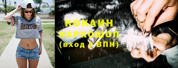 дживик Елабуга