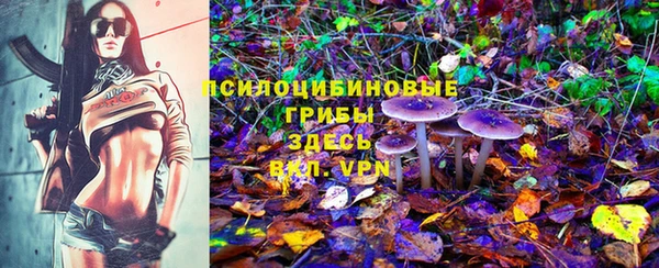 mdpv Елизово