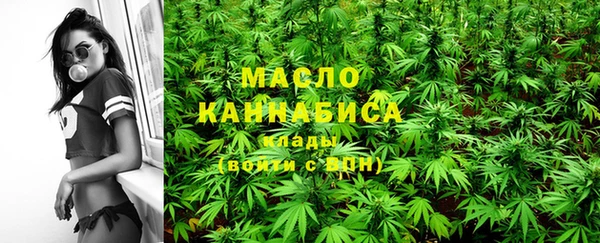 меф Ельня