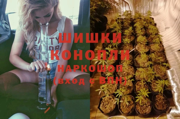 mdpv Магас