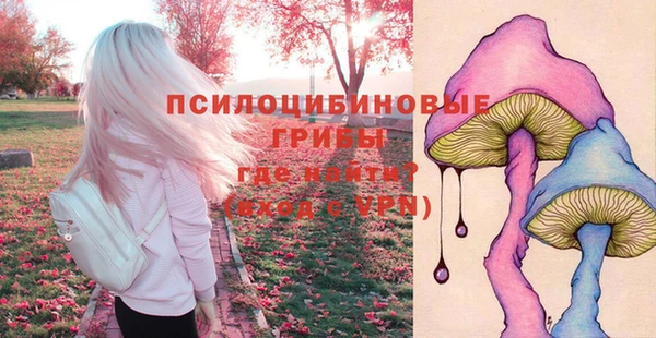 дживик Елабуга