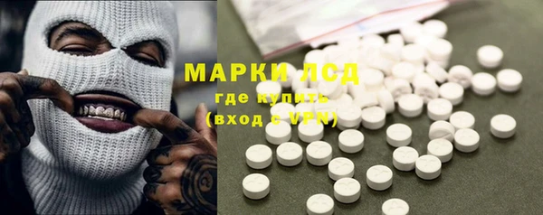 дживик Елабуга